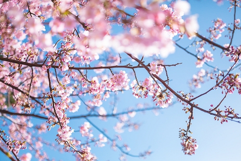 桜が散ったら次はゴールデンウィーク？　いえいえ、休んでいる暇はありません。